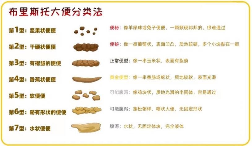 新生儿粑粑干燥怎么办-第2张图片-郑州医学网