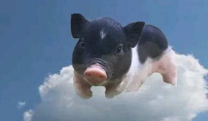 新生儿呼吸有鼻音像猪是正常现象吗？需要担心吗？-第1张图片-郑州医学网