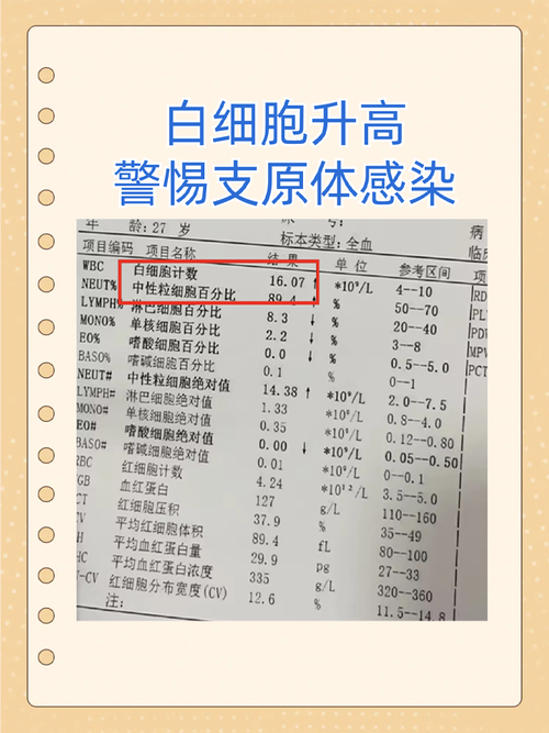 儿童白细胞淋巴细胞高是感染还是其他问题？需要怎么应对？-第1张图片-郑州医学网