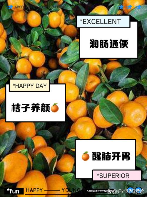 怀孕期间吃桔子对胎儿有影响吗？需要注意哪些事项？-第2张图片-郑州医学网