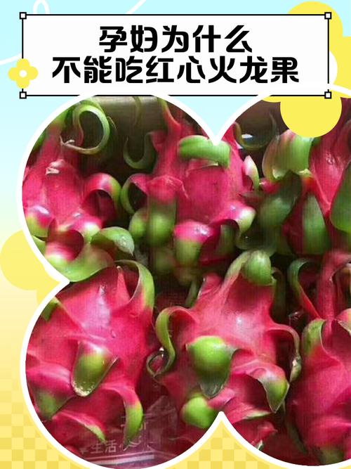 孕期吃红心火龙果会致胎儿胎粪变黑吗？对血糖和便秘有啥影响？-第2张图片-郑州医学网
