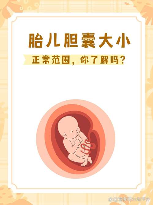 新生儿胆囊偏小需要治疗吗？会影响发育吗？家长该怎么办？-第2张图片-郑州医学网