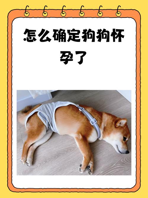 怀孕期间养狗狗真的安全吗？对孕妇和胎儿会有哪些潜在影响？-第1张图片-郑州医学网