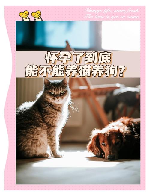 怀孕期间养狗狗真的安全吗？对孕妇和胎儿会有哪些潜在影响？-第2张图片-郑州医学网