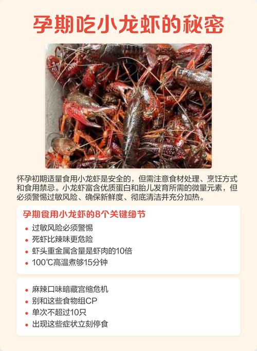 怀孕期间吃龙虾会致胎儿过敏吗？有哪些注意事项？-第2张图片-郑州医学网