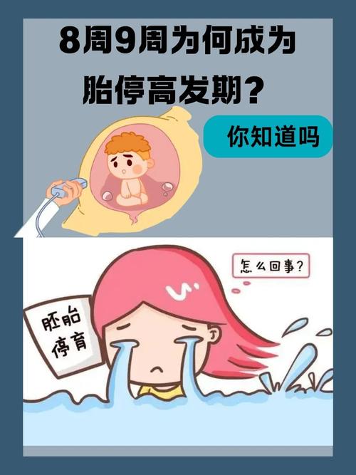 怀孕期间梦见胎停，是身体预警还是心理焦虑在作祟？-第3张图片-郑州医学网