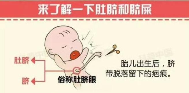 新生儿肚子像青蛙鼓胀是正常现象吗？需要警惕哪些潜在问题？-第1张图片-郑州医学网