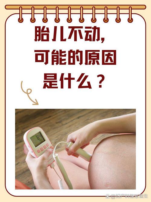 怀孕期间宝宝不怎么动，是缺氧还是正常现象？需要警惕吗？-第3张图片-郑州医学网