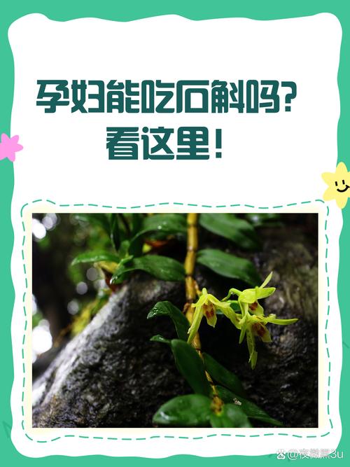 怀孕期间吃石斛对胎儿安全吗?孕期食用石斛有哪些潜在风险?-第1张图片-郑州医学网 怀孕期间吃石斛对胎儿安全吗?孕期食用石斛有哪些潜在风险?-第1张图片-郑州医学网