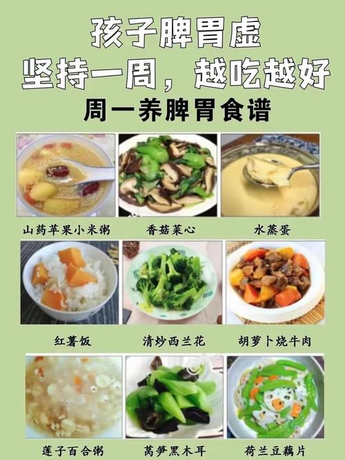 儿童脾胃虚弱调理食谱，到底哪些食物能温和滋养又不增加脾胃负担？-第1张图片-郑州医学网