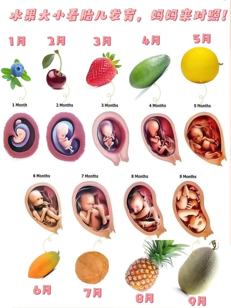 孕期爱吃水果真能影响胎儿性别吗?科学依据在哪里?-第1张图片-郑州医学网 孕期爱吃水果真能影响胎儿性别吗?科学依据在哪里?-第1张图片-郑州医学网