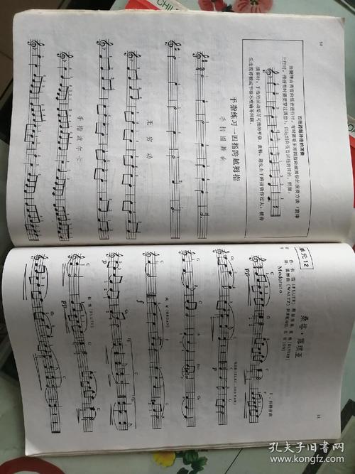 儿童电子琴大教本上册真的适合零基础孩子轻松入门吗?-第1张图片-郑州医学网 儿童电子琴大教本上册真的适合零基础孩子轻松入门吗?-第1张图片-郑州医学网