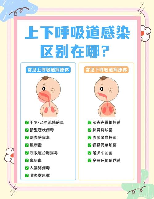 儿童反复上呼吸道感染，究竟是免疫力差还是护理出了问题？-第2张图片-郑州医学网