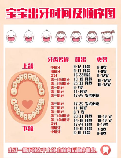 儿童换牙年龄有标准范围吗?早换或晚换需要担心吗?-第1张图片-郑州医学网 儿童换牙年龄有标准范围吗?早换或晚换需要担心吗?-第1张图片-郑州医学网