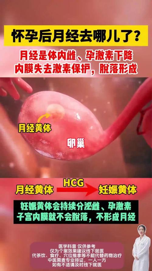 怀孕后月经为何会消失？身体内部发生了哪些变化？-第1张图片-郑州医学网