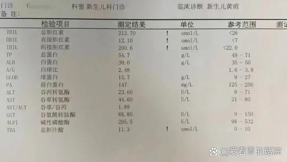 新生儿黄疸换血治疗的成功率究竟有多高?影响因素和风险又该如何把控?-第1张图片-郑州医学网 新生儿黄疸换血治疗的成功率究竟有多高?影响因素和风险又该如何把控?-第1张图片-郑州医学网