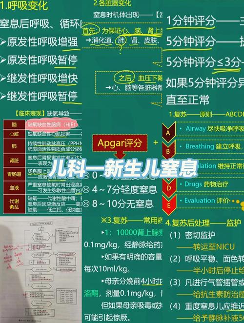 新生儿窒息复苏考试网如何帮助医护人员快速掌握核心技能？-第1张图片-郑州医学网