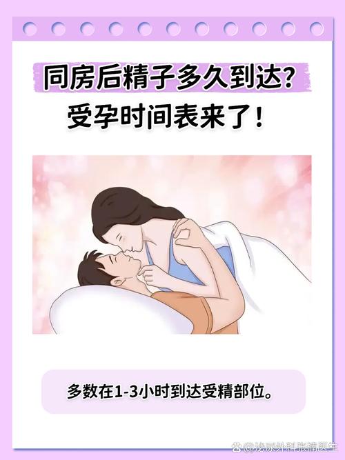 怀孕期间同房会伤害胎儿吗？孕早期和晚期有哪些注意事项？-第1张图片-郑州医学网