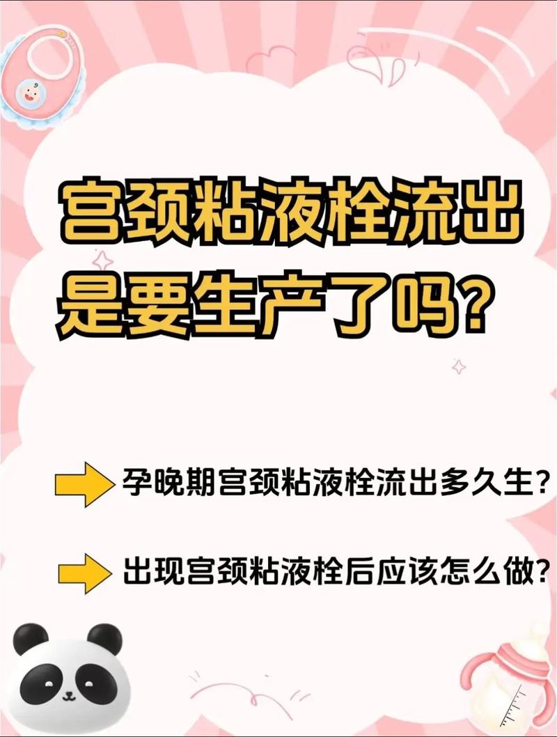 备孕期间使用消靡栓是否会影响受孕或胎儿健康？-第2张图片-郑州医学网
