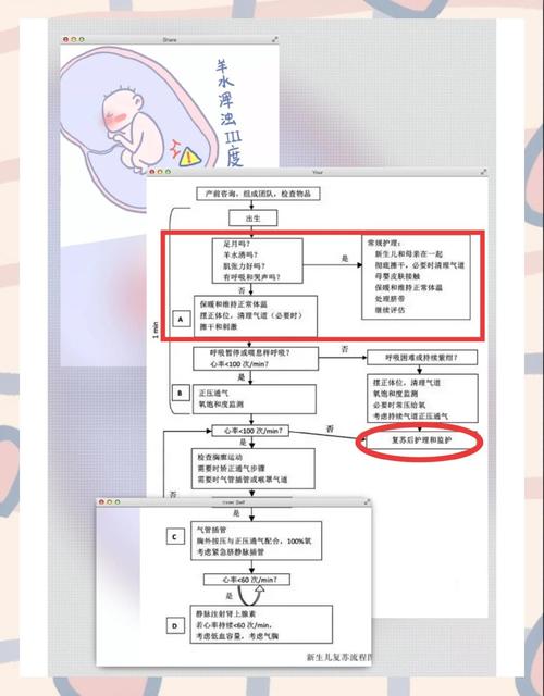 新生儿吸入综合征的定义具体包含哪些核心病理生理机制？-第3张图片-郑州医学网