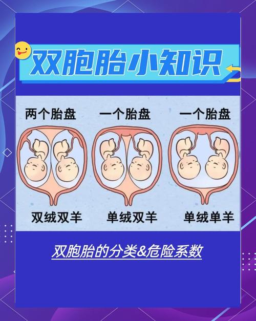 新手爸妈如何区分双胞胎宝宝?外貌相似度高,有哪些实用技巧?-第2张图片-郑州医学网 新手爸妈如何区分双胞胎宝宝?外貌相似度高,有哪些实用技巧?-第2张图片-郑州医学网