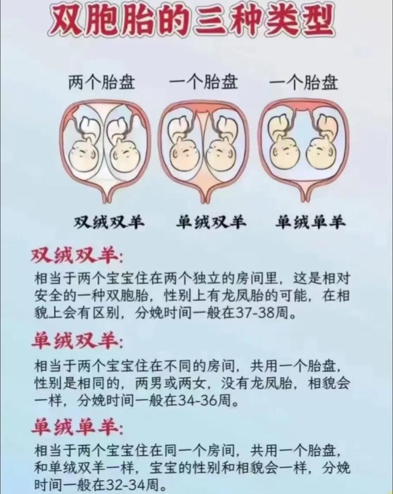 新手爸妈如何区分双胞胎宝宝?外貌相似度高,有哪些实用技巧?-第1张图片-郑州医学网 新手爸妈如何区分双胞胎宝宝?外貌相似度高,有哪些实用技巧?-第1张图片-郑州医学网
