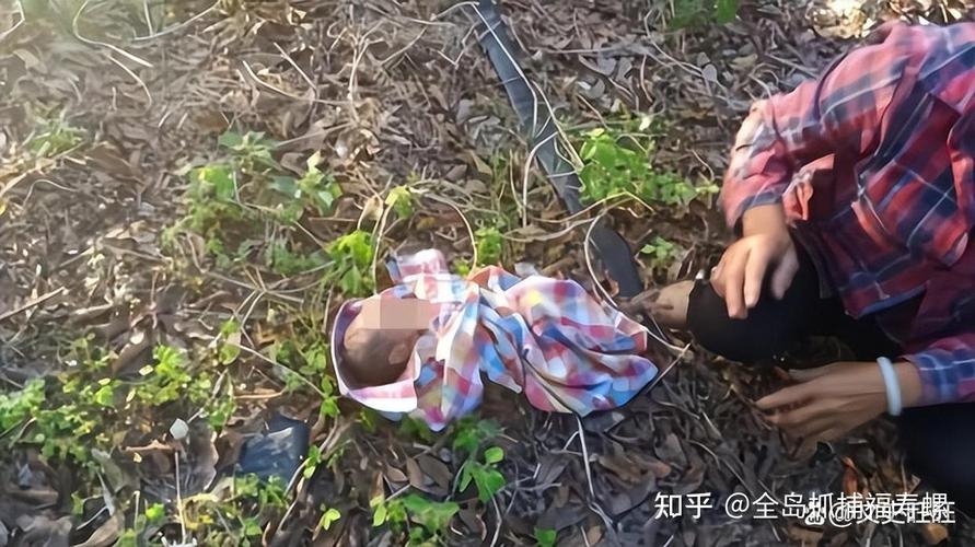 拐卖儿童视频真实视频-第1张图片-郑州医学网