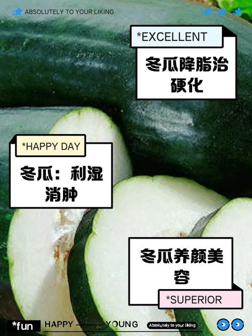 孕期吃冬瓜有哪些具体好处?对胎儿发育和孕妇健康有何影响?-第2张图片-郑州医学网 孕期吃冬瓜有哪些具体好处?对胎儿发育和孕妇健康有何影响?-第2张图片-郑州医学网