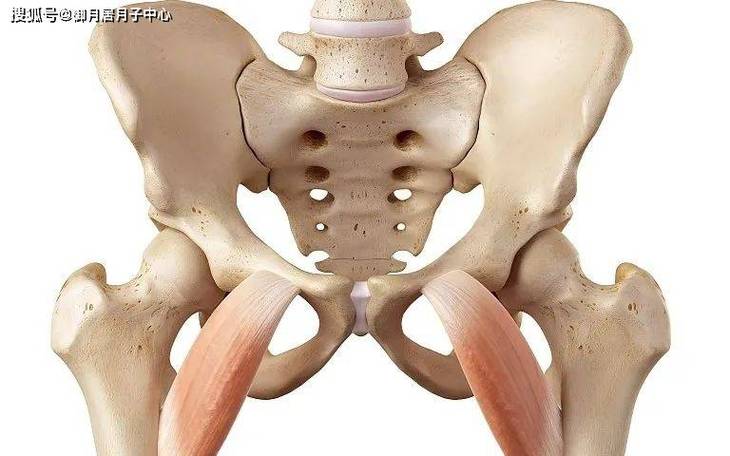 孕期下身疼痛是正常生理反应还是疾病信号？需警惕哪些潜在风险？-第2张图片-郑州医学网