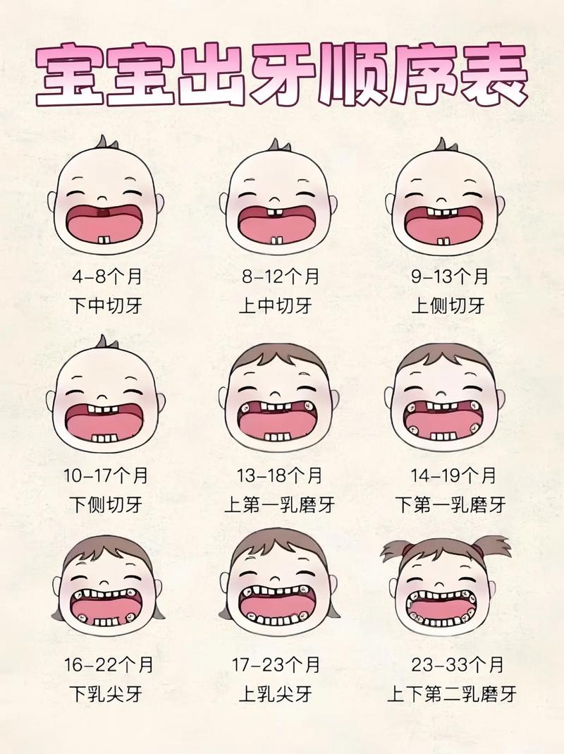 新生儿长牙齿有固定时间表吗?不同宝宝出牙时间差异大正常吗?-第1张图片-郑州医学网 新生儿长牙齿有固定时间表吗?不同宝宝出牙时间差异大正常吗?-第1张图片-郑州医学网