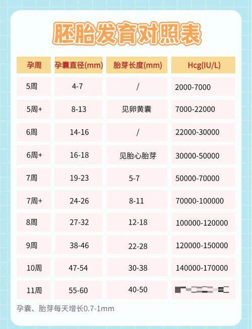 孕囊偏大与停经周数不符，是胎儿发育异常还是孕周计算有误？-第3张图片-郑州医学网
