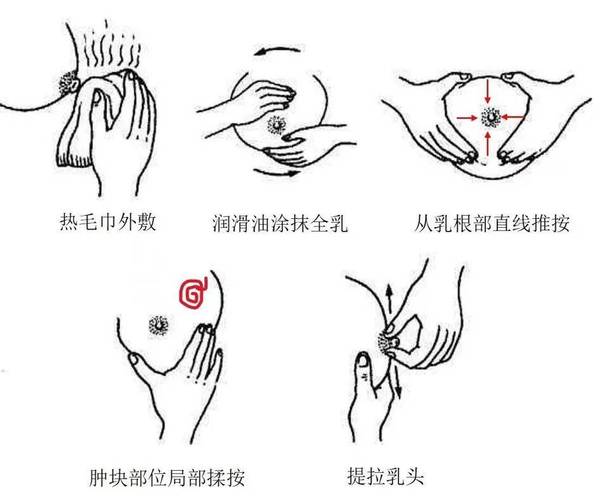 孕期怎么按摩乳房图解-第1张图片-郑州医学网