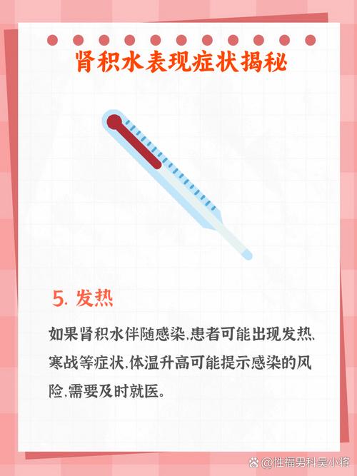 孕期肾积水常见症状有哪些？腰酸背痛、尿频尿急、下肢水肿是否需警惕？-第1张图片-郑州医学网