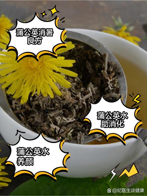 孕期喝蒲公英水有哪些具体好处？饮用时需注意哪些事项？-第2张图片-郑州医学网