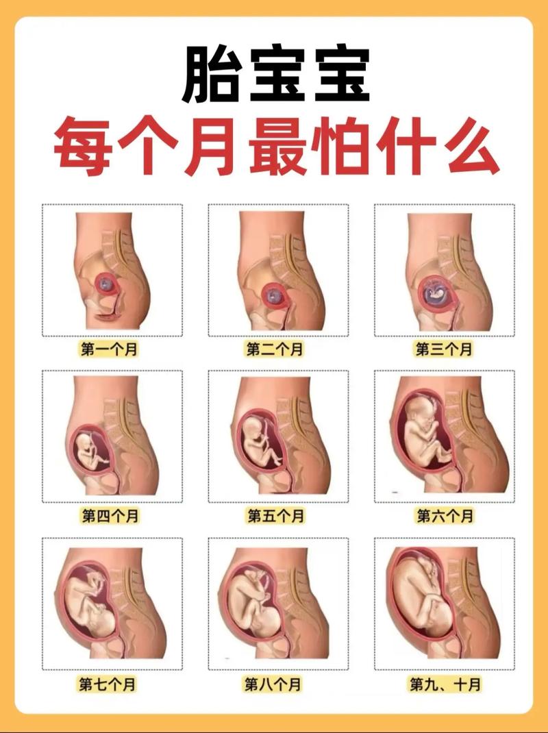 孕期压力大会影响胎儿健康,这种情况下胎儿到底能不能留?-第3张图片-郑州医学网 孕期压力大会影响胎儿健康,这种情况下胎儿到底能不能留?-第3张图片-郑州医学网