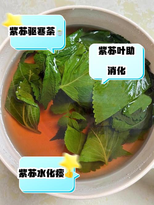 儿童能用紫苏叶泡脚吗？适用年龄与注意事项有哪些？-第3张图片-郑州医学网