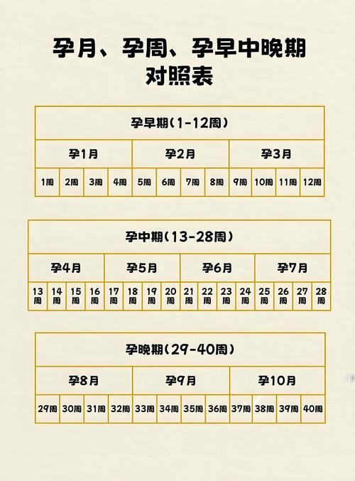 怀孕期究竟是从哪天开始算起的？是末次月经第一天还是排卵日或受精日？-第3张图片-郑州医学网