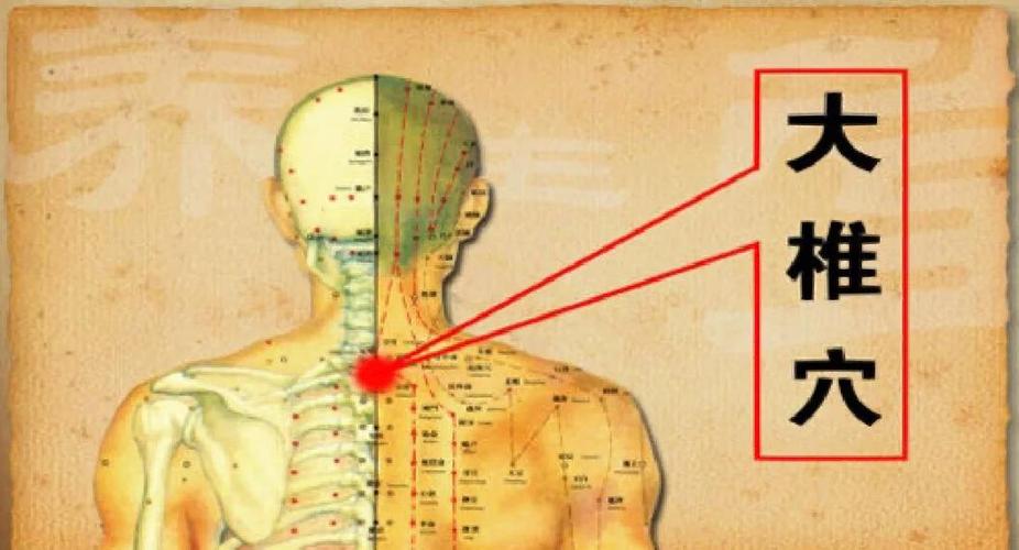 儿童大椎的准确位置图-第3张图片-郑州医学网
