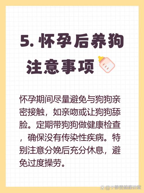 备孕期间养狗会对孕妇和胎儿健康造成哪些潜在风险？-第3张图片-郑州医学网