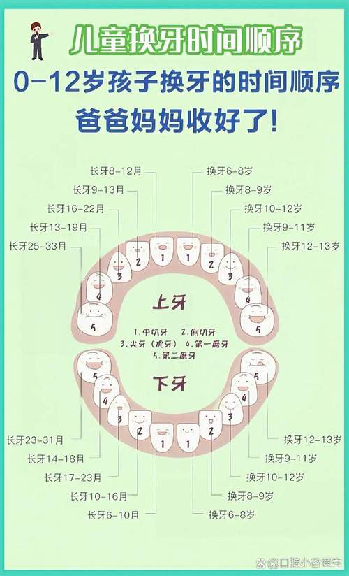 儿童换牙阶段总共会替换多少颗牙齿？换牙顺序和数量有什么规律吗？-第1张图片-郑州医学网