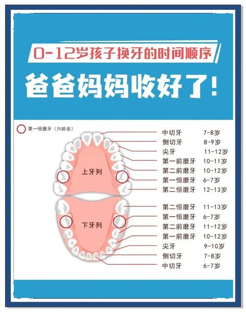 儿童换牙阶段总共会替换多少颗牙齿？换牙顺序和数量有什么规律吗？-第3张图片-郑州医学网