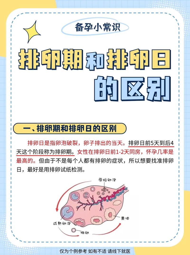 易孕期和排卵期究竟有何不同？两者在受孕时机上有何关键差异？-第1张图片-郑州医学网