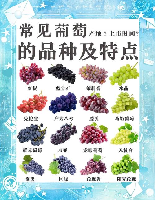 备孕期间吃葡萄籽会影响受孕或胎儿健康吗?-第2张图片-郑州医学网 备孕期间吃葡萄籽会影响受孕或胎儿健康吗?-第2张图片-郑州医学网