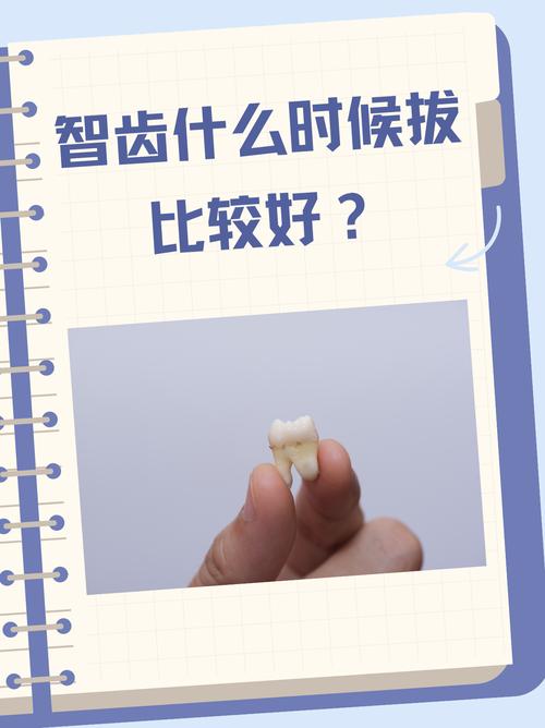 备孕期间长智齿到底能不能拔?会不会影响怀孕和胎儿健康?-第2张图片-郑州医学网 备孕期间长智齿到底能不能拔?会不会影响怀孕和胎儿健康?-第2张图片-郑州医学网