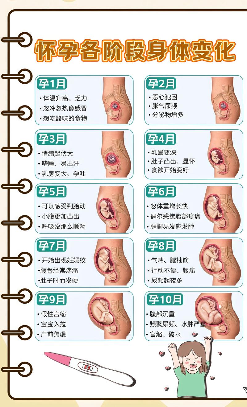 漫长孕期如何科学充实度过？新手妈妈必看的实用指南有哪些？-第1张图片-郑州医学网