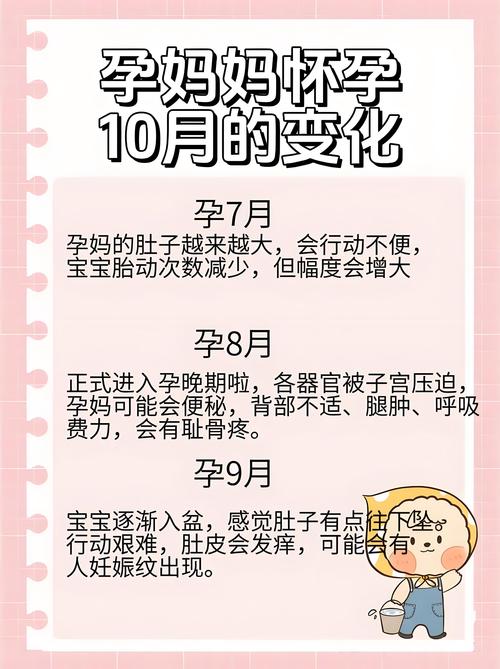 漫长孕期如何科学充实度过？新手妈妈必看的实用指南有哪些？-第3张图片-郑州医学网