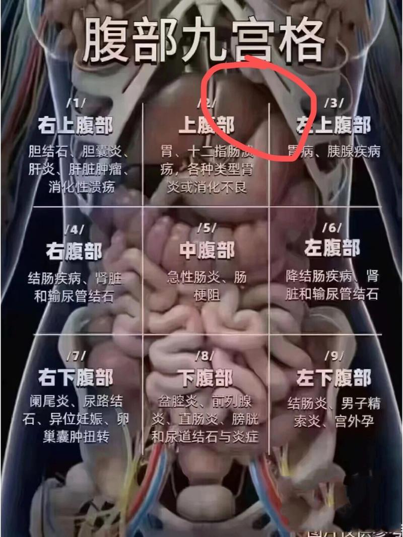 孕期肋骨疼是胎儿挤压还是身体在预警？需警惕哪些异常信号？-第1张图片-郑州医学网