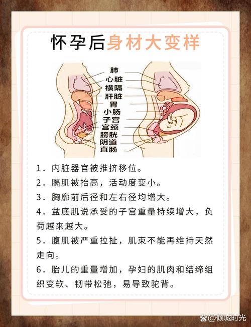 孕期全或无理论真的能解释所有早期妊娠结局吗？-第1张图片-郑州医学网