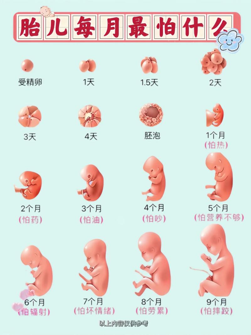 孕期总爱哭真能预示宝宝性别？科学依据还是民间误传？-第1张图片-郑州医学网