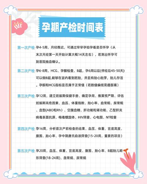 孕期产检次数有讲究？不同阶段该查哪些项目？频率如何安排才科学？-第3张图片-郑州医学网